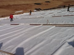 兩布一膜（復合土工膜）